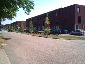 Straatinrichting Oosterhout